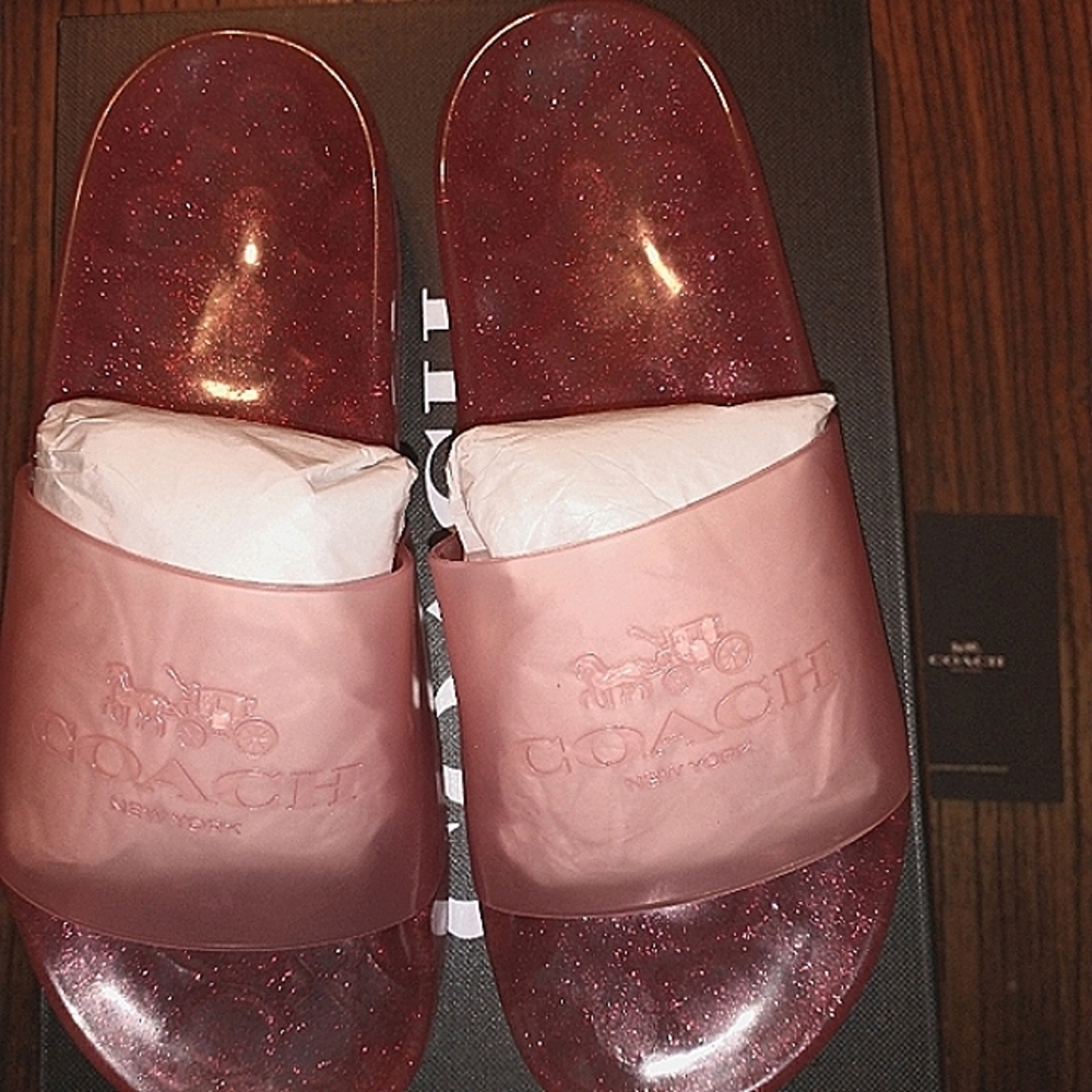 Coach Ulyssa Logo Transparent Slides size8